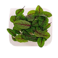ACETOSELLA
