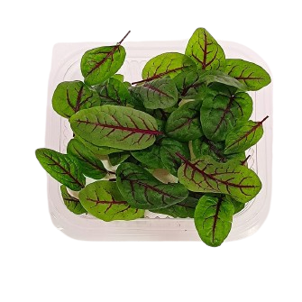 ACETOSELLA